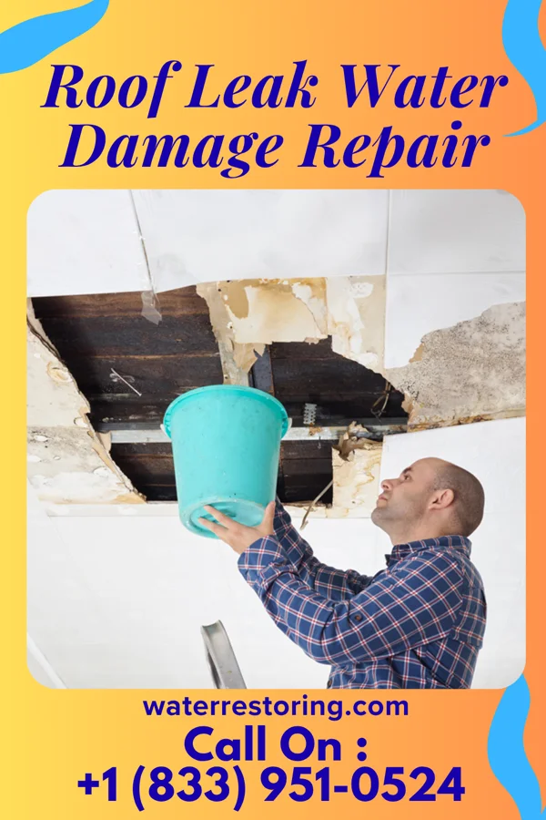 Roof Leak Water Damage Repair in Jamestown, LA
