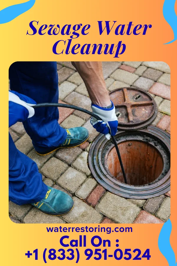 Sewage Water Cleanup in Jamestown, LA
