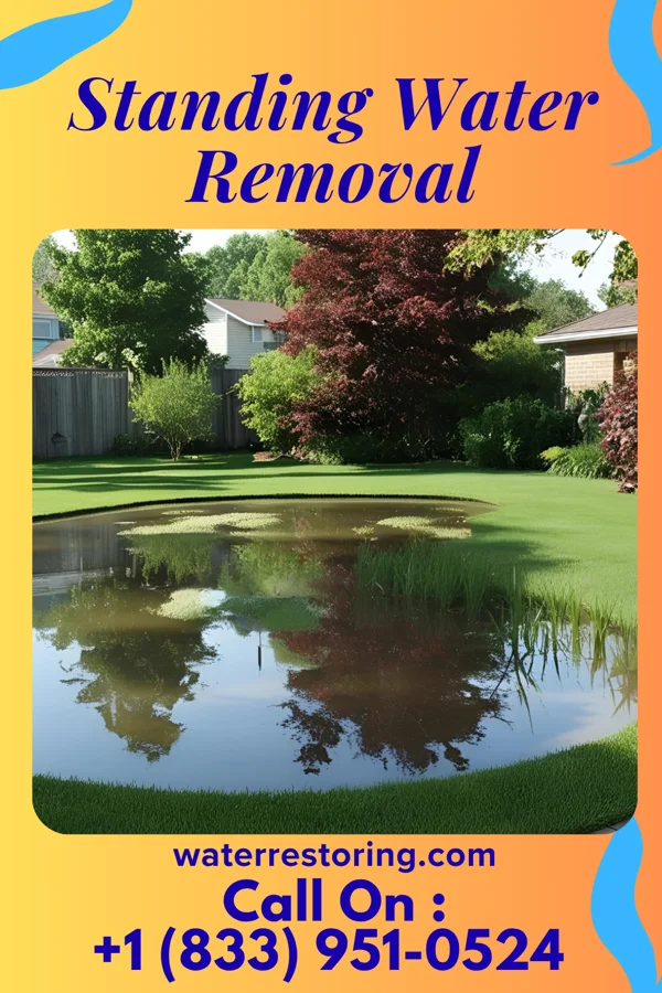 Standing Water Removal in Jamestown, LA